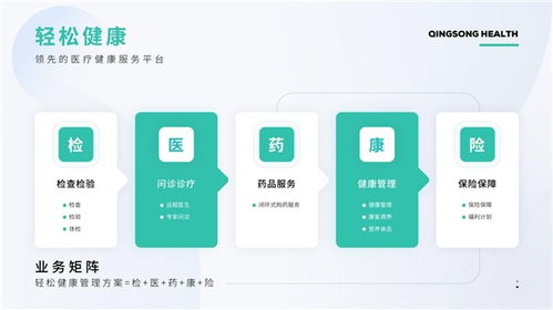 互联网数据服务助力保险业转型提质——以轻松集团科技赋能为视角